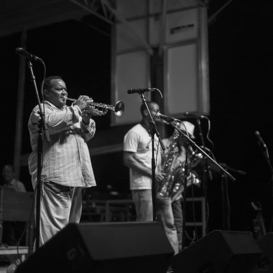 Dirty Dozen Brass Band (IV)