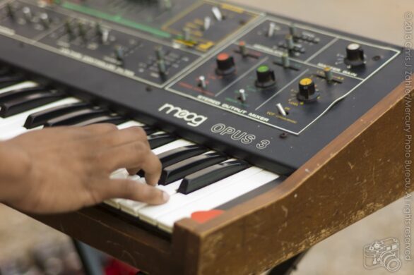 Terrence (Moog Detail)