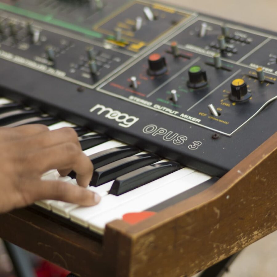 Terrence (Moog Detail)