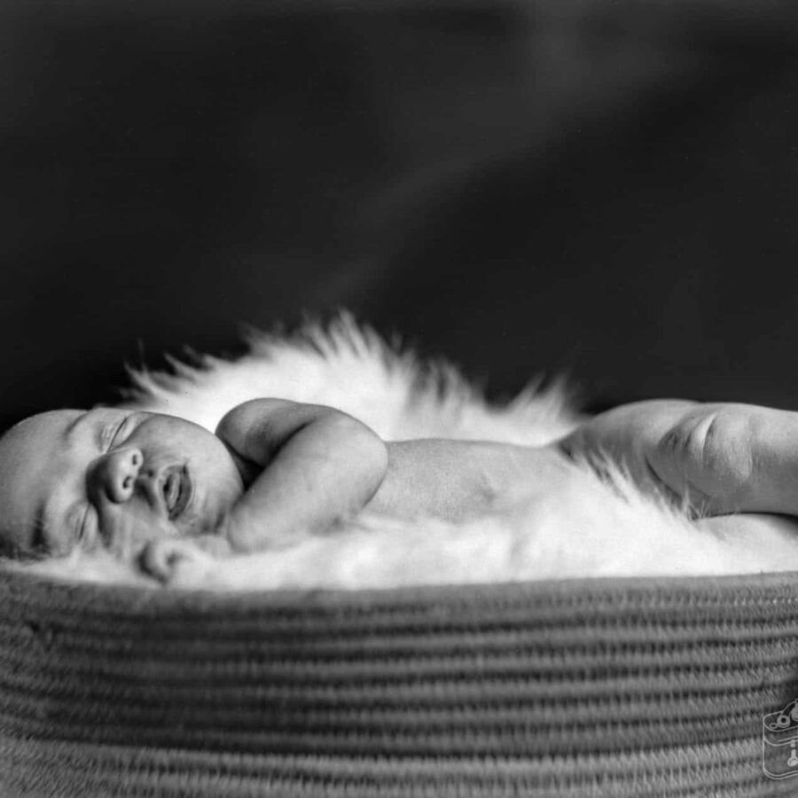 Jazz Marie Goad (Basket, Monochrome, Tight Shot)— Newborn Portrait at 2 Weeks Old