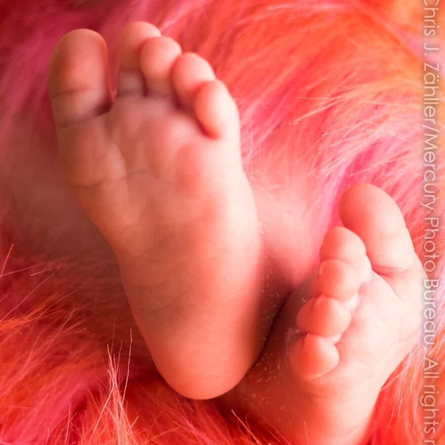 Jazz's Feet — Newborn Portrait at 2 Weeks Old
