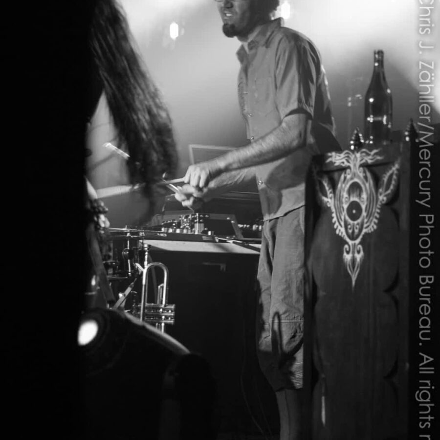 David Drums, Beats Antique "Animal Mechanique" Tour