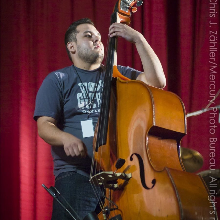 Bassist David Quinday — 17th Annual Woody Guthrie Folk Festival, 2014